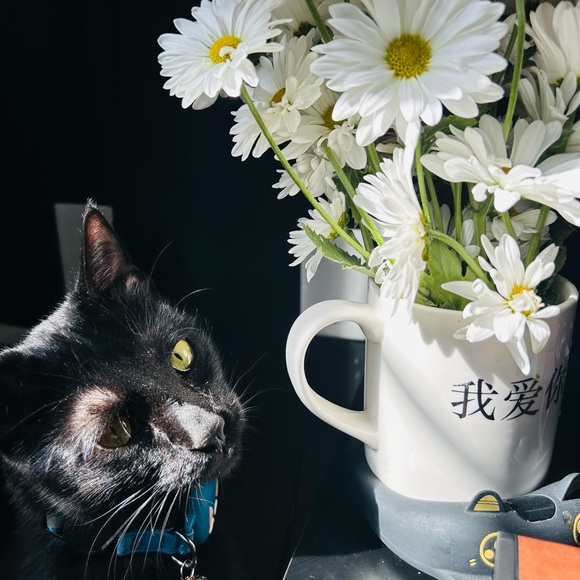 🚜 HI IM TANK 🚜 - Picture 11 of 11